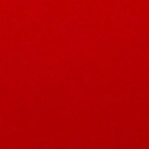 Meet your Posher, Bree